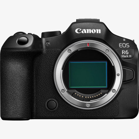 Mirrorless Camera