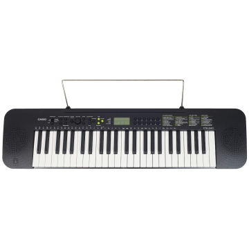 Casio CTK-240 Standard Keyboard